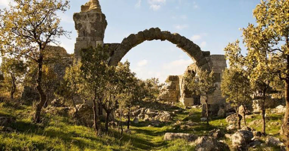 A ruined Roman arch of Alexandria Troas standing among the olive trees