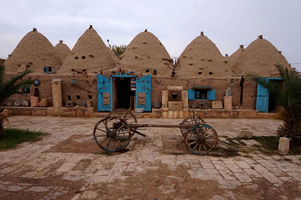 The mud-brick beehive houses of Harran clustered on the golden plain