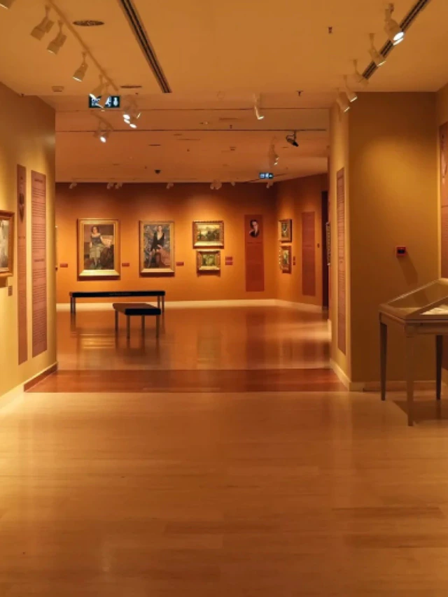 A private museum interior in a historic Istanbul mansion